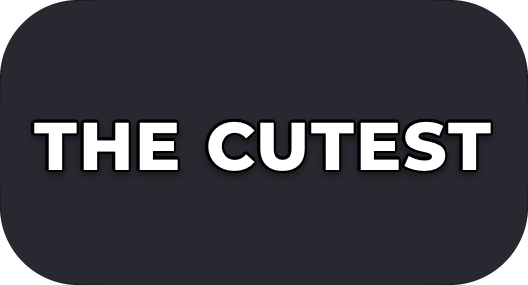 The Outline caption style in Setters