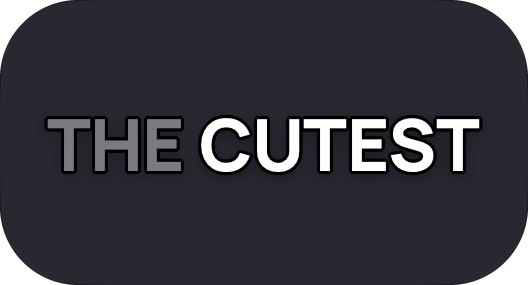 The Spotlight caption style in Setters
